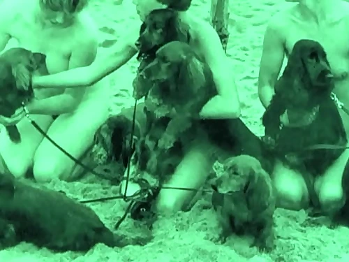 Vintage Taboo, Poon & Pooch