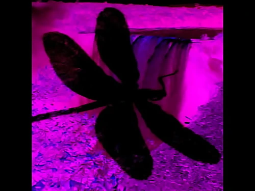 Dark Lantern Entertainment Presents 'The Dragonfly' Vignette 4 Pt.2