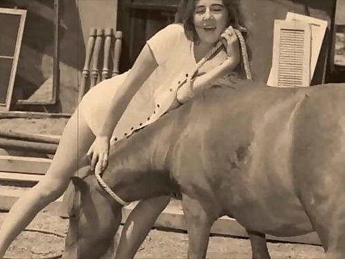 Antique Taboo, Fuckbox & Pooch