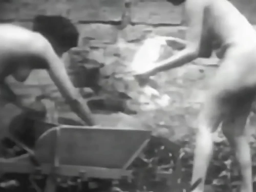 My Secret Life, The World's Finest Softcore Story, Antique Calm Movies