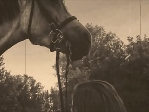 Dark Lantern Refreshment presents 'Beauty And The Beast'