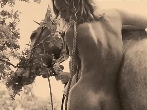 Dark Lantern Relaxation presents